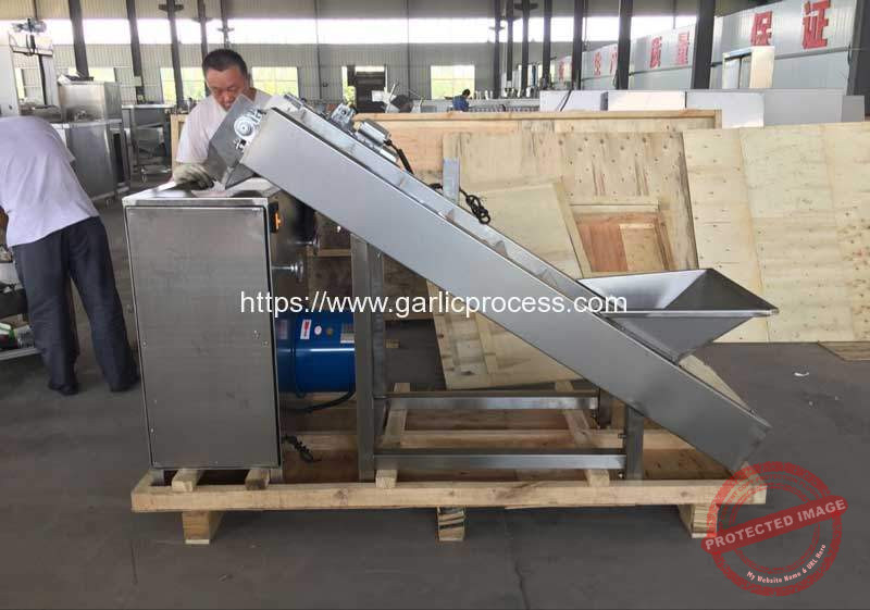 Automatic-Garlic-Separating-Machine-with-Feeding-Elevator-for-Canada-Customer